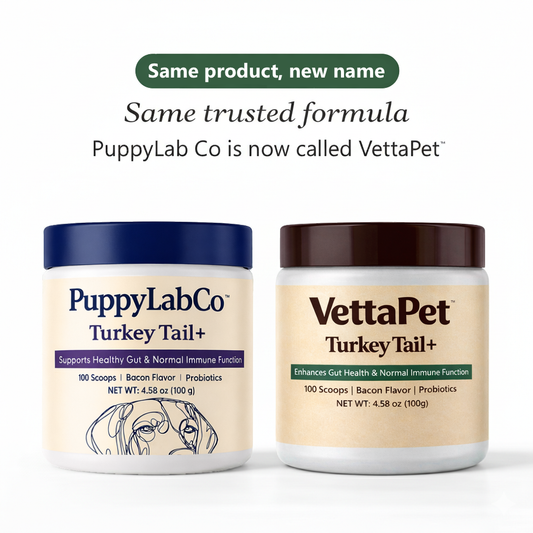 TurkeyTail+ Probiotics™ Formula