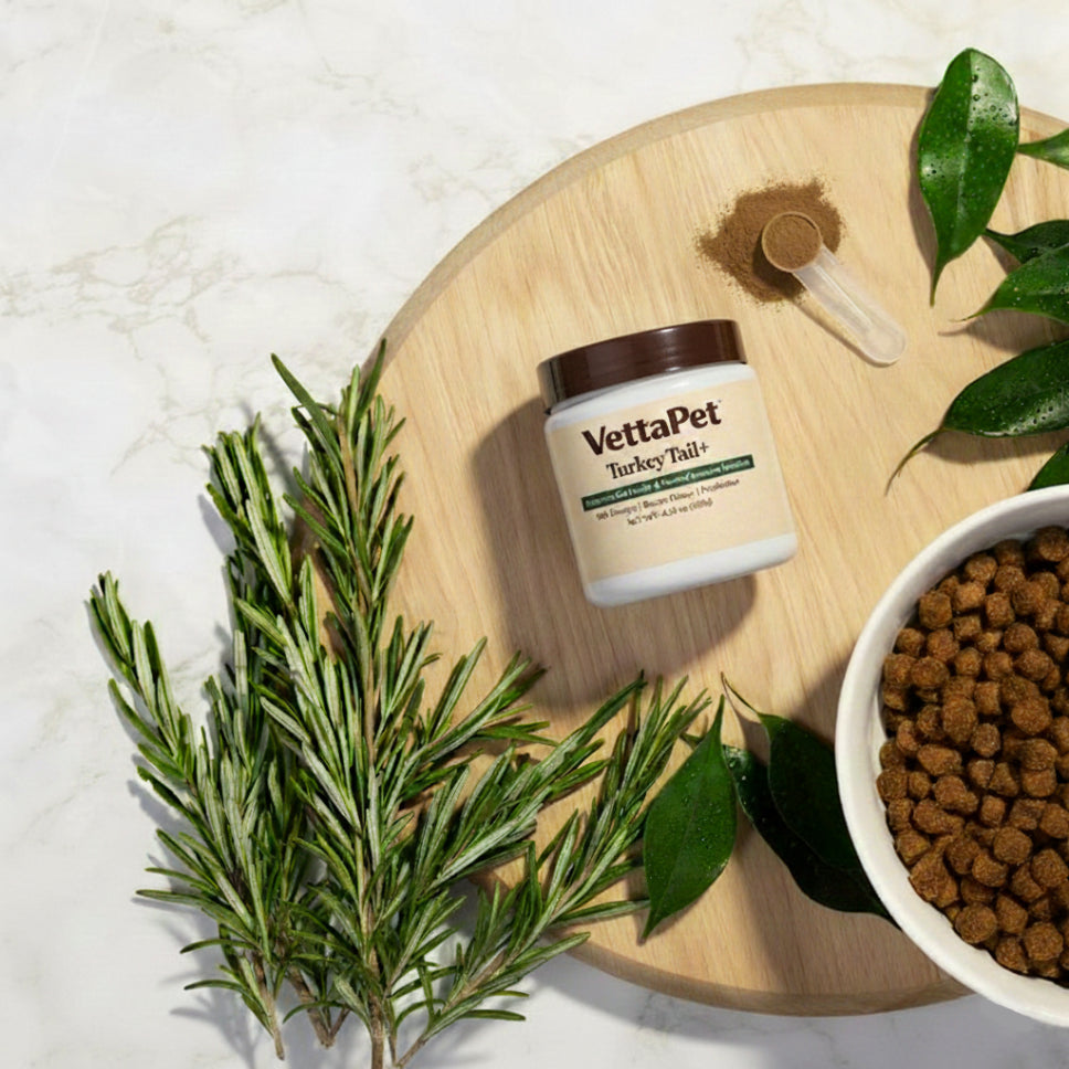 TurkeyTail+ Probiotics™ Formula